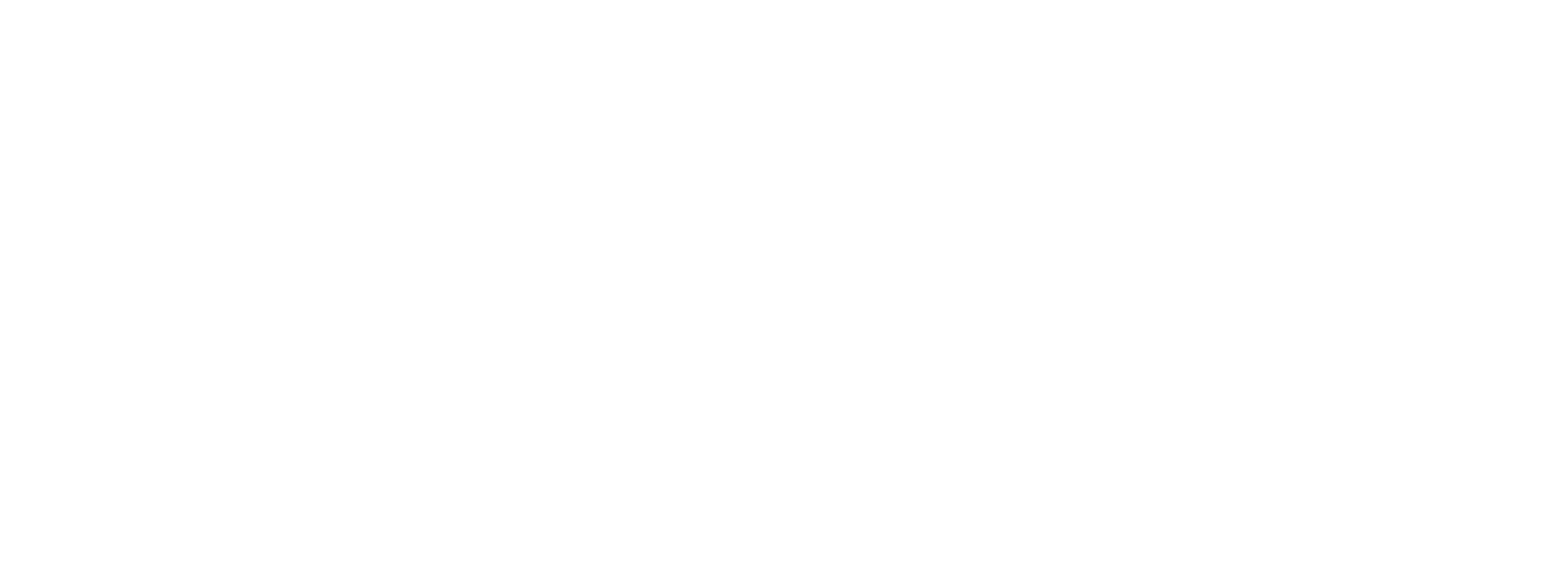 Logo da AvoIP em branco